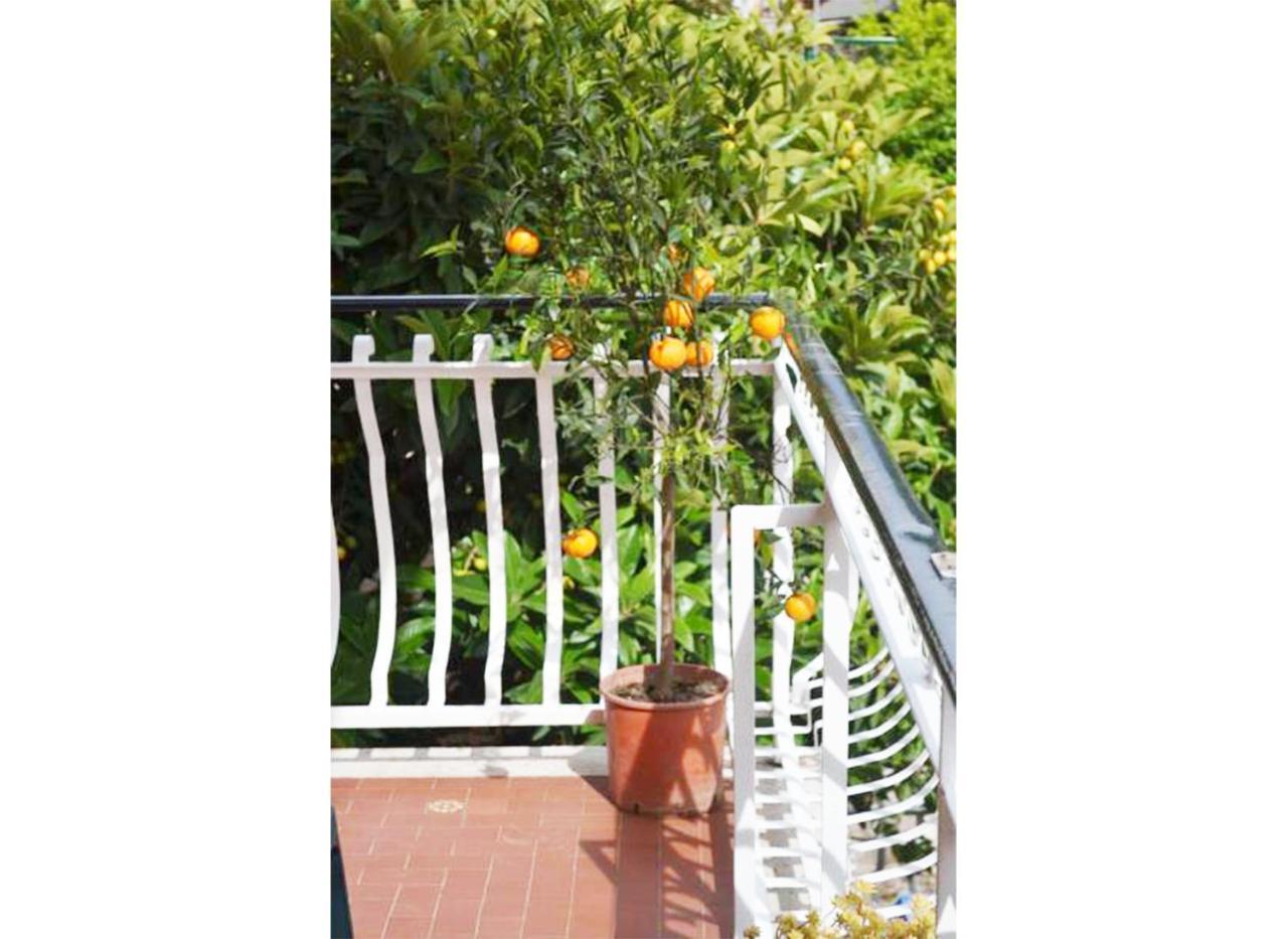 Casa Celeste Gasthof Rom